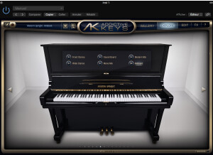 XLN Audio Addictive Keys Modern Upright
