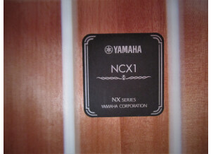 Yamaha NCX1