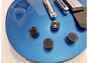 Gibson Les Paul Studio (20436)