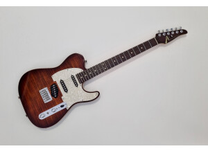 Tom Anderson Hollow Classic T (33782)