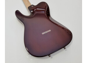 Tom Anderson Hollow Classic T (33308)