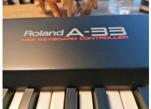 Roland A-33 (34377)