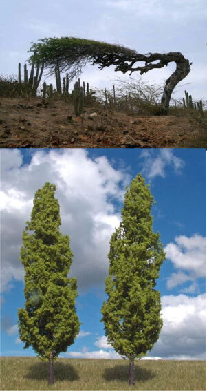 5679795.jpg 5679795.jpg