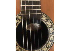 Ovation Country Artist 1624-4 (88380)