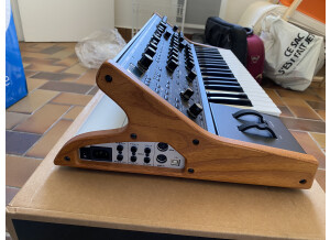 Moog Music Subsequent 37 (83719)