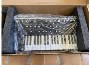 Moog Music Subsequent 37 (74369)