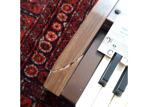 Casio Casiotone 401 (21186)