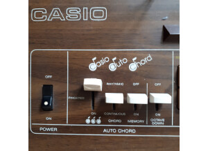 Casio Casiotone 401 (63464)