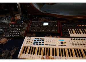 Behringer DeepMind 12D (43044)