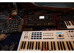 Behringer DeepMind 12D (94170)