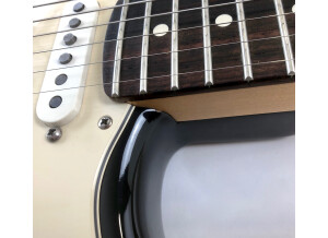 Fender American Standard Stratocaster [2008-2012] (45566)