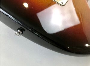Fender American Standard Stratocaster [2008-2012] (7358)