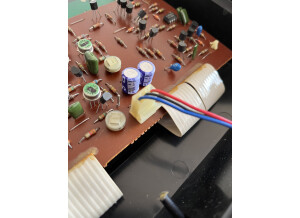 Roland SH-1 (68569)