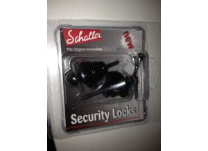 Schaller Security Lock (63029)
