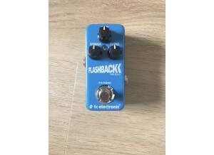 TC Electronic Flashback Mini (62009)