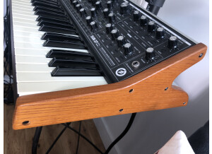 Moog Music SUB 37 (86779)