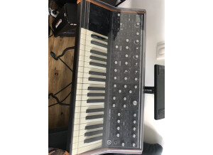 Moog Music SUB 37 (64149)