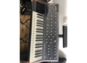 Moog Music SUB 37 (48507)