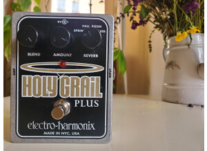 Electro-Harmonix Holy Grail Plus (82761)