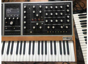 Moog Music Moog One 16 (68575)