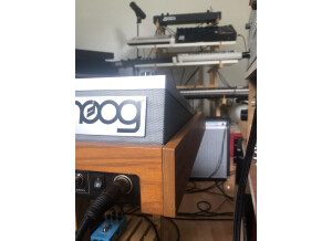 Moog Music Moog One 16 (26116)