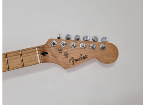 Fender Special Edition Lite Ash Stratocaster (13153)