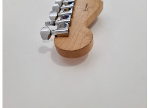 Fender Special Edition Lite Ash Stratocaster (63302)