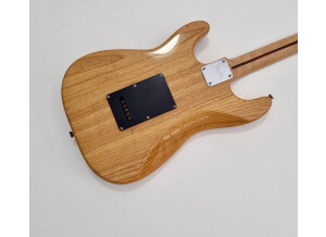 Fender Special Edition Lite Ash Stratocaster (8923)