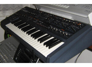 Roland JP-8000 (97441)