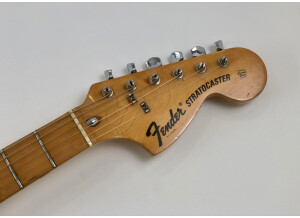 Fender Stratocaster [1965-1984] (32979)
