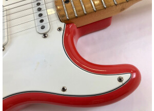 Fender Stratocaster [1965-1984] (54736)