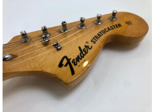 Fender Stratocaster [1965-1984] (34783)