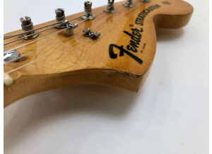 Fender Stratocaster [1965-1984] (85905)