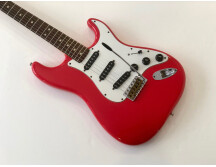 Fender Stratocaster [1965-1984] (64446)