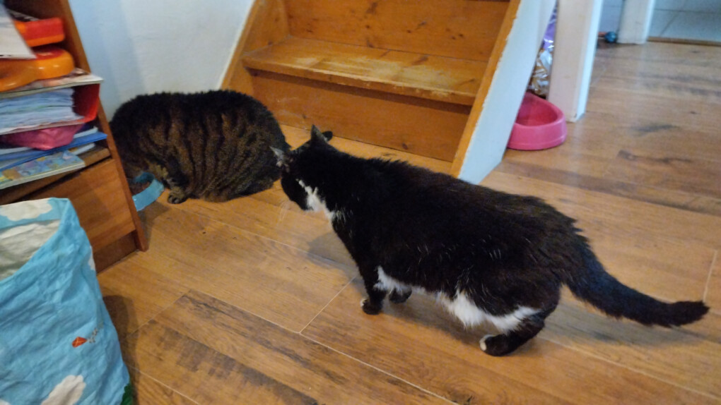 5689052.jpg 5689052.jpg