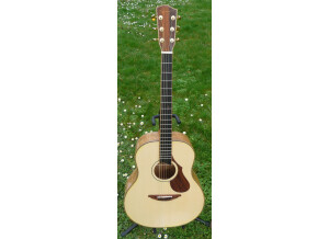 Darmagnac Guitares Euc D12 32 (8)