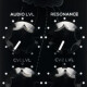 Black DJ VCF Black DJ VCF