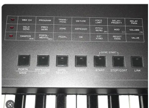 Korg MS2000 (22219)