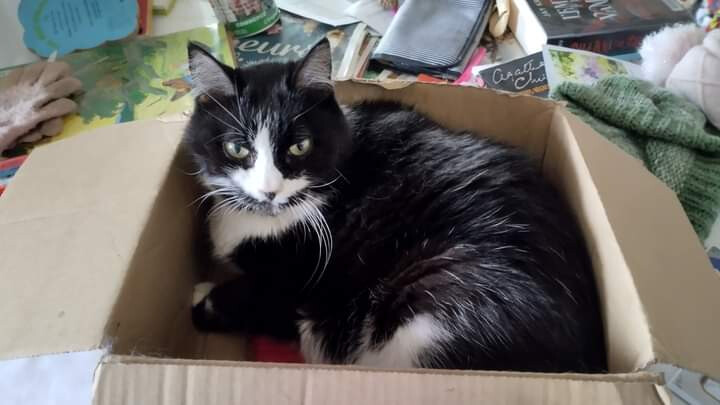 5690035.jpg 5690035.jpg