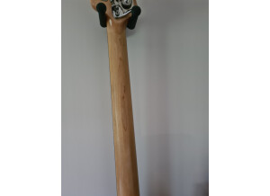 Music Man StingRay Special 4 HH (5524)