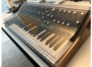 Moog Music Subsequent 37 (49490)