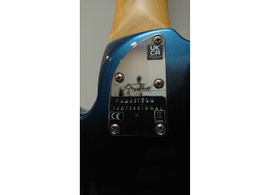 Fender American Professional II Precision Bass V