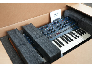 Dave Smith Instruments OB-6 (78526)