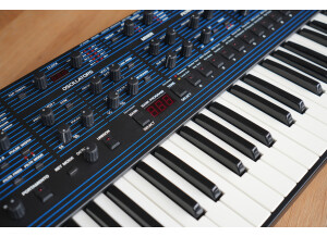 Dave Smith Instruments OB-6 (14075)