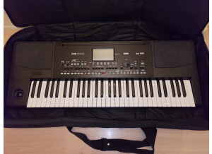 Korg Pa300