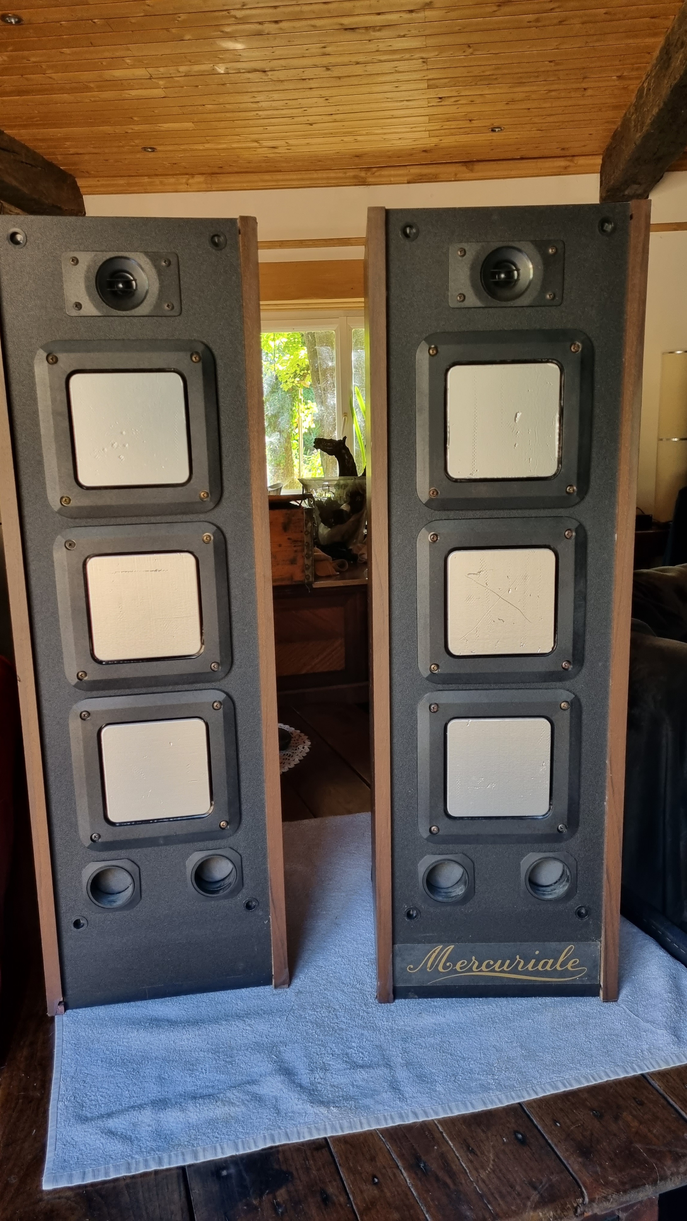 Mercuriale digital 120 Enceintes Hi-Fi