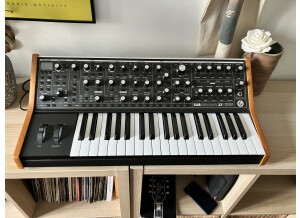Moog Music Subsequent 37 (81895)