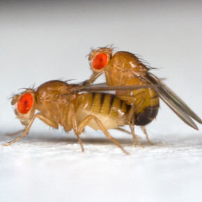 5693611.jpeg 5693611.jpeg