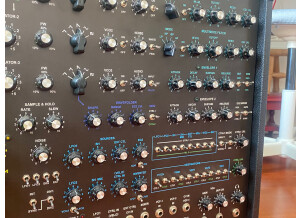 NRSynth Big Ancestor (14997)