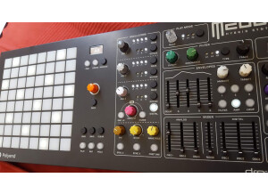 Dreadbox Limited Edition Black Medusa (5248)